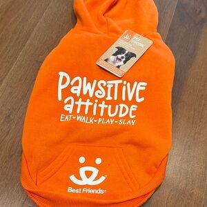 FRIENDS Vibrant Orange Dog Hoodie